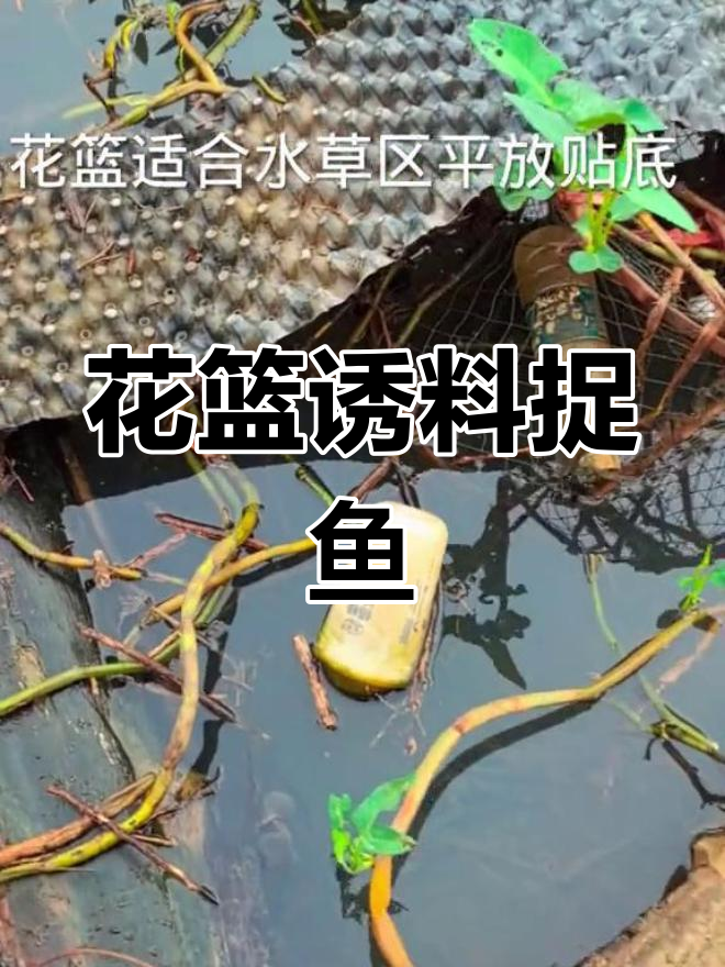 详细阅读:捕鱼技巧(鱼塘捕鱼技巧) 捕鱼技巧(鱼塘捕鱼技巧)
